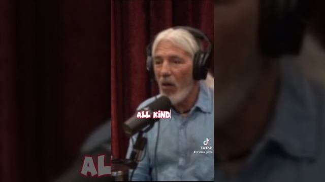 "The Perilous Hunt: Joe Rogan Discusses the Challenges Faced by Neanderthals"
