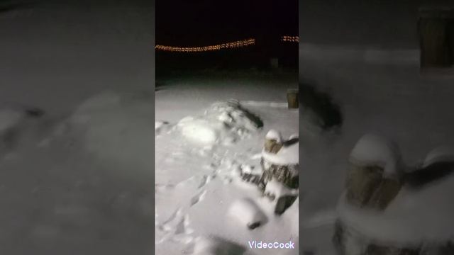 утренний снегопад