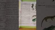 Animal Kingdom- 2|| #ncert #highlights #neet2022 #aiims #icar #bhu #afmc #bsc #vmmc #neet🎯 #bio