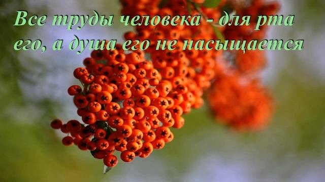 Все труды человека - для рта его, а душа его не насыщается. Книга Екклесиаста 6 глава.