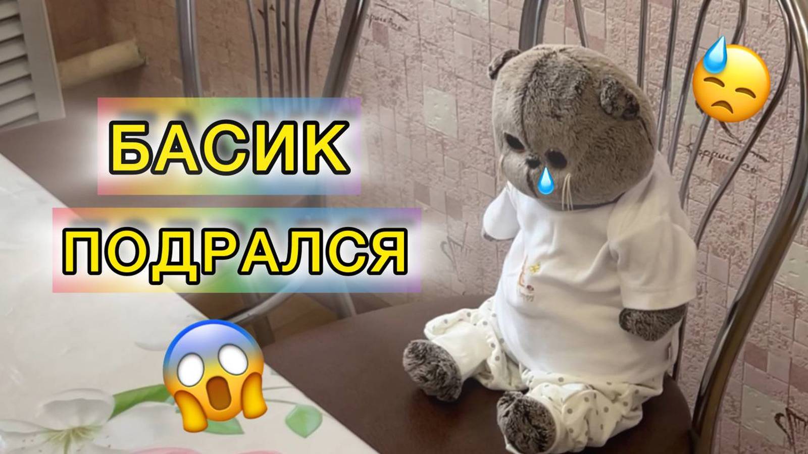 ВЛОГ С БАСИКАМИ