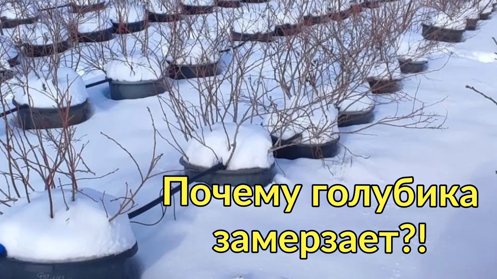 1000151402.mp4