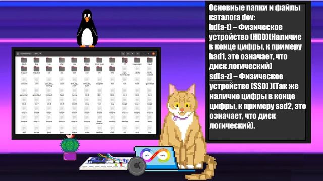 Структура каталогов в Linux | Заметки оцифрованного кота