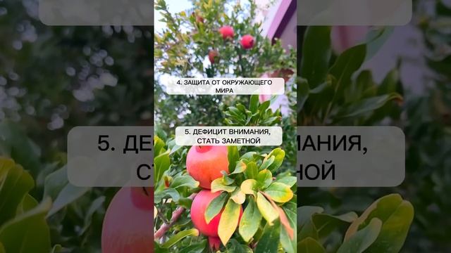 Психосоматические причины лишнего веса