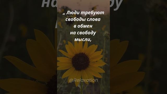 Сократ афоризмы, цитаты о свободе слова.  #цитаты #цитатывеликих #цитатысосмыслом