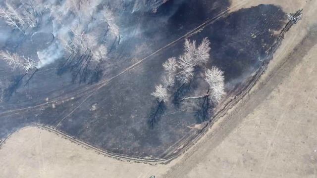 Ученик выполняет мониторинг БВС в пожароопасный период. 🔥