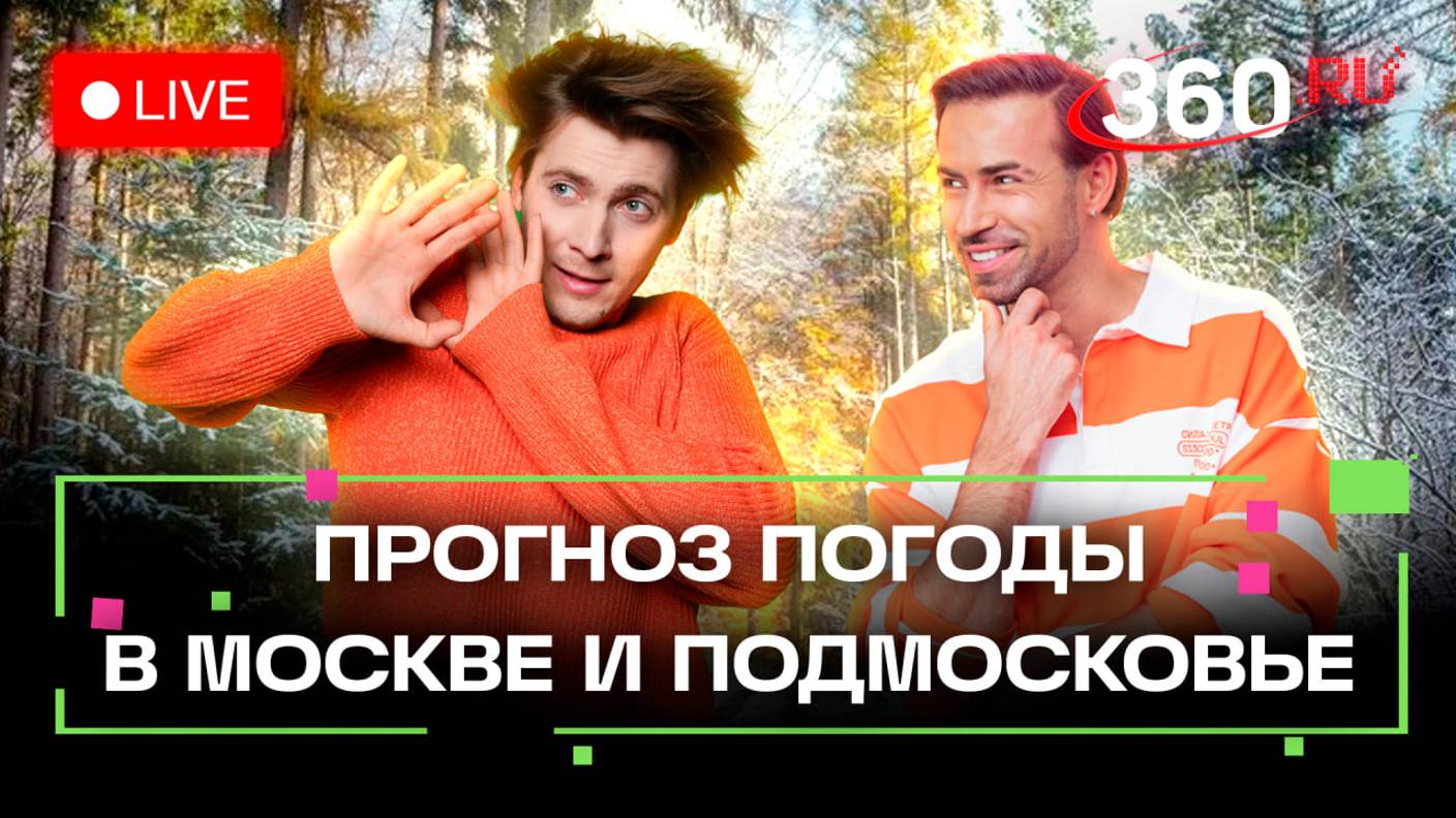 Прогноз погоды на 13 ноября. Ждем снежный апокалипсис. Мытищи. Ленинский. Метеострим 360