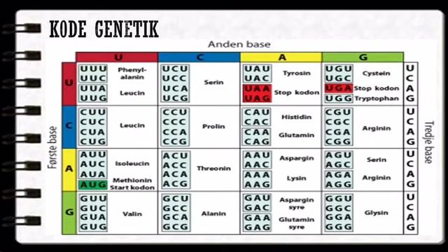 Kode genetik (BIOLOGI KELAS 12)