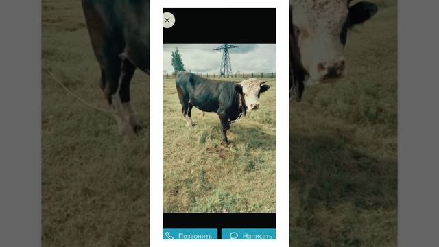 4 октября 2020 г.