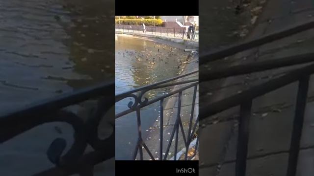 1000155119.mp4