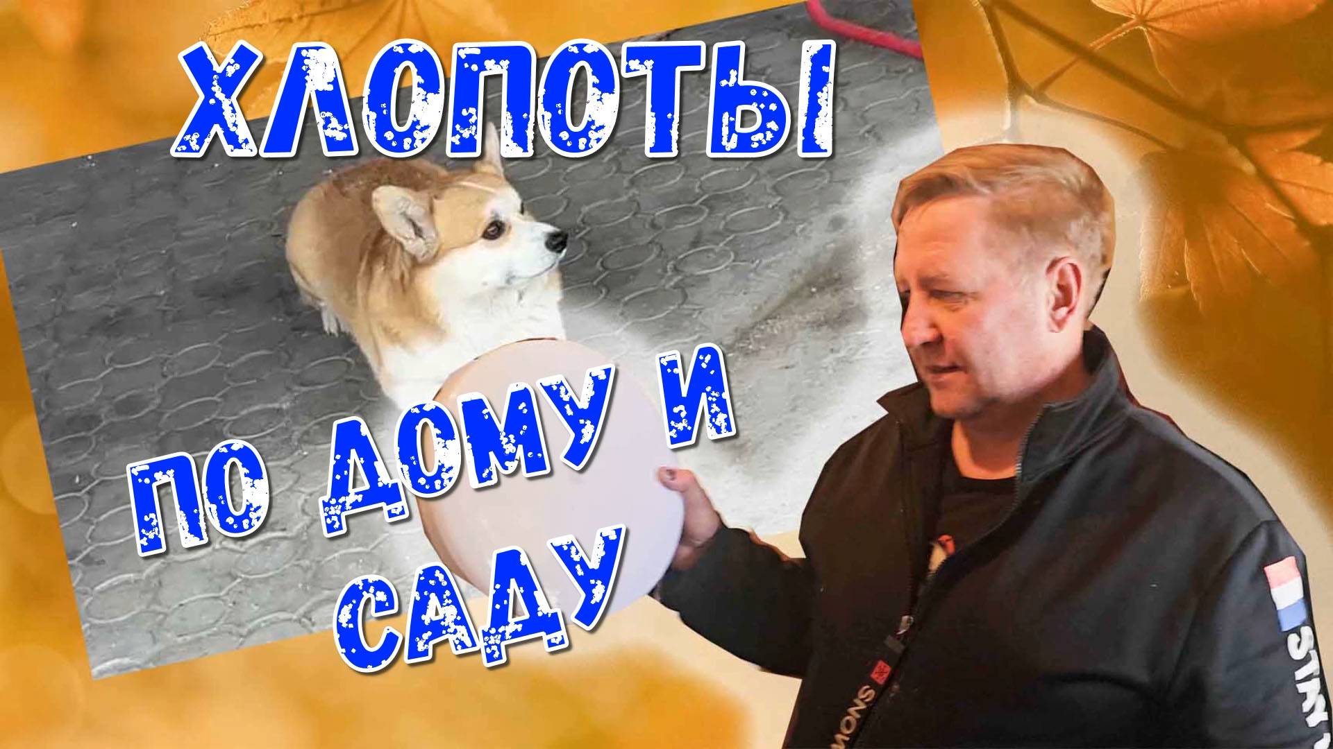 ВЛОГ ВЫХОДНЫХ ДНЕЙ/ДЕНЬ 1/ ХЛОПОТЫ В САДУ/ОПРЫСКИВАЕМ/УДОБРЯЕМ/ЗАМЕНИЛИ СВЕТИЛЬНИК