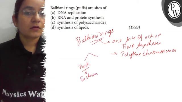 Balbiani rings (puffs) are sites of
(a) DNA replication
(b) RNA and...