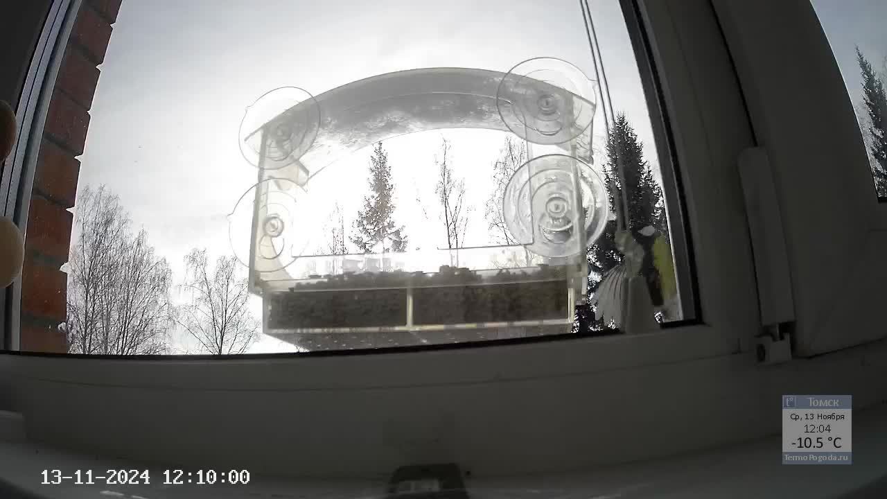 Кормушечка 13.11.24