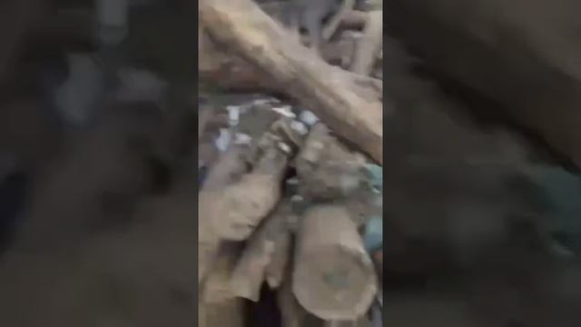 Алиев один 2