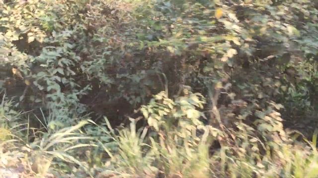 очень опасная дорога в Перу. Пропасть километровая