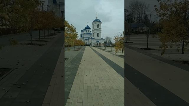 Ну вот,опять сквозь ветви виден храм Где солнца луч играет позолотой#shorts Репьёвка🇷🇺
