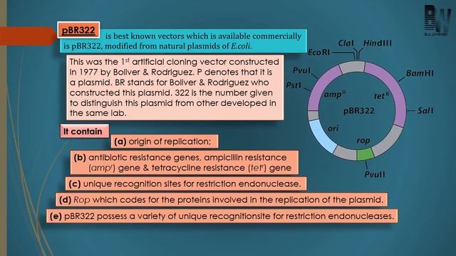 Biology Chapter 11 Biotechnology-Principle & Process (cloning vector, pBR322)Lec 3