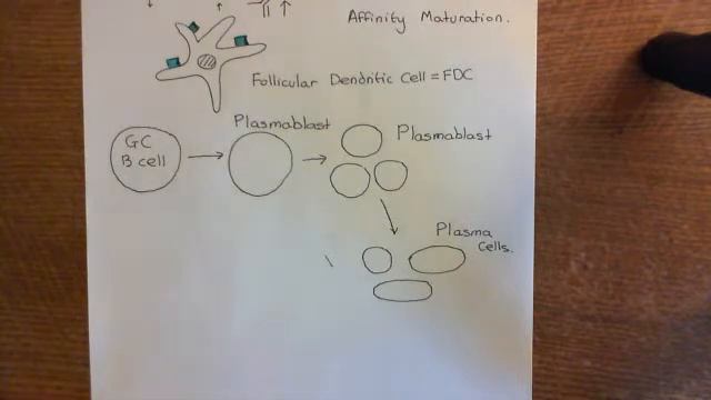 Corticosteroids for Asthma Part 4