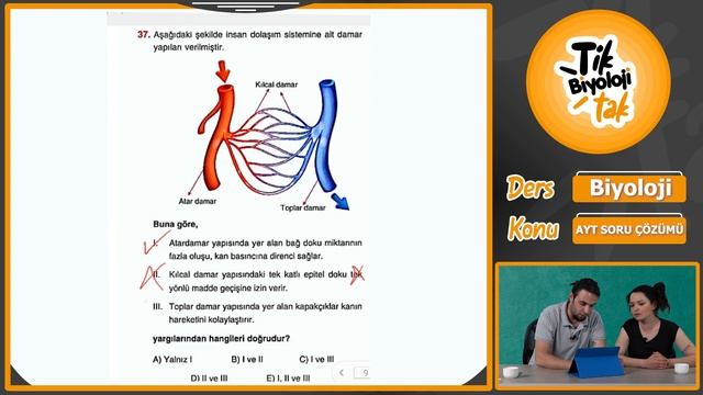 Sorularla AYT Özeti 2