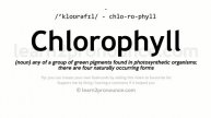 Pronunciation of Chlorophyll | Definition of Chlorophyll