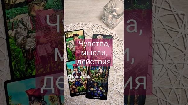 Чувства, мысли, действия #гадание (1)