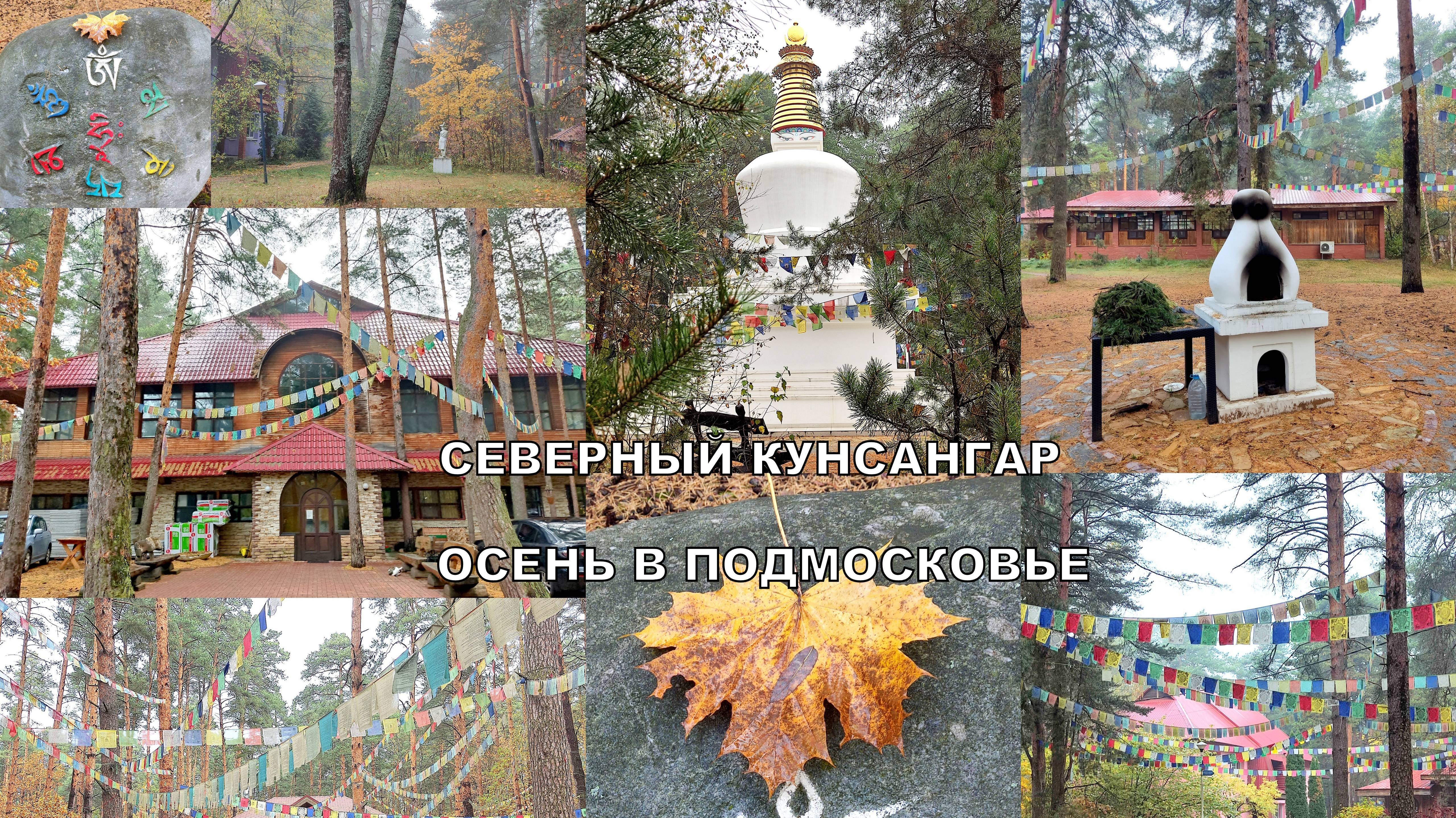 ОСЕНЬ В СЕВЕРНОМ КУНСАНГАРЕ🛕💖РЕТРИТНЫЙ ЦЕНТР В ПОДМОСКОВЬЕ🧘Мини обзорчик🍁#сезонконтентаRUTUBE