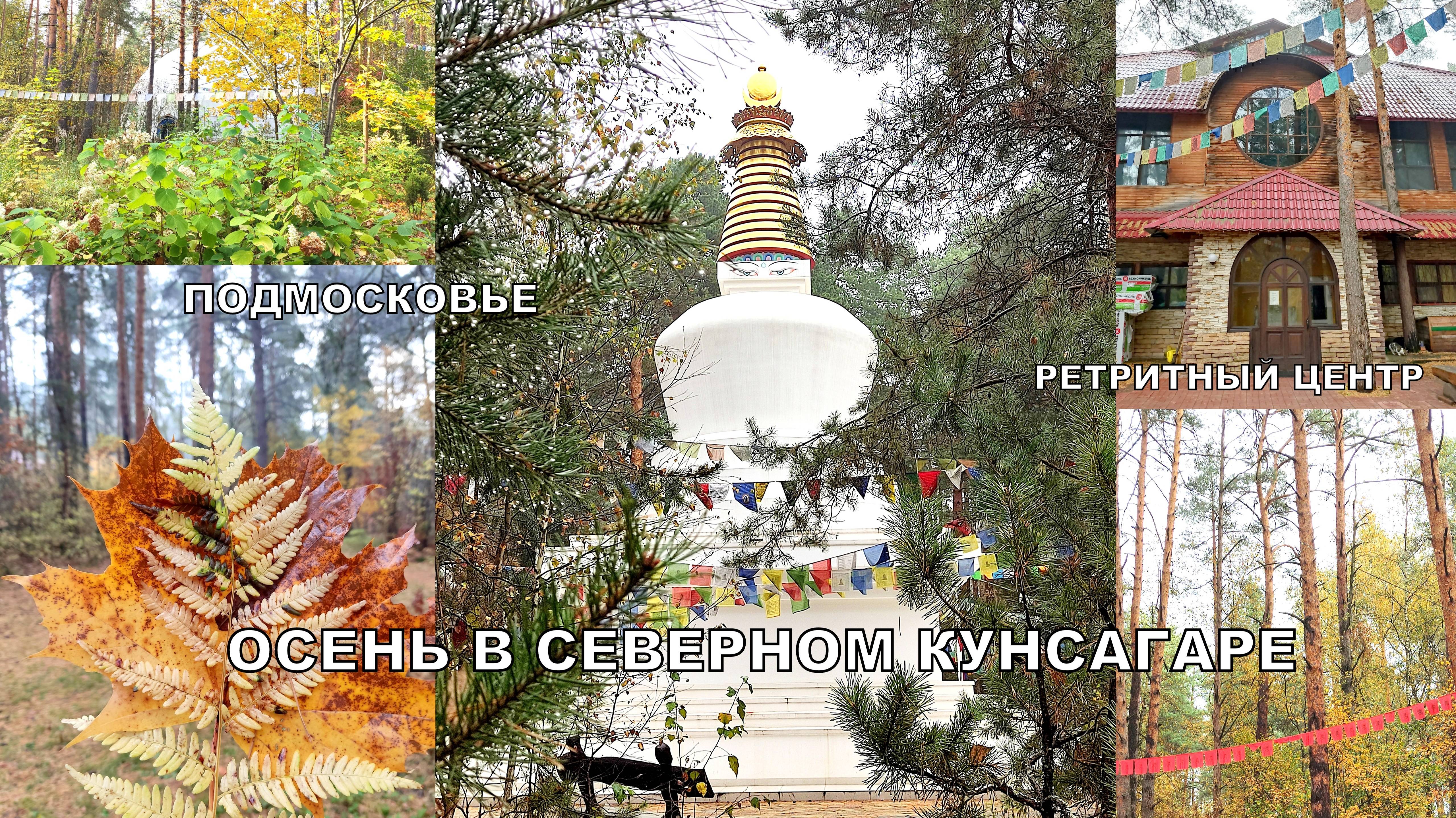 ОСЕНЬ В СЕВЕРНОМ КУНСАНГАРЕ🛕💖РЕТРИТНЫЙ ЦЕНТР В ПОДМОСКОВЬЕ🧘Мини обзорчик🍁#сезонконтентаRUTUBE