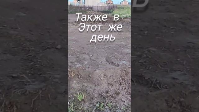 Расчистка 10 соток и парковка за день!