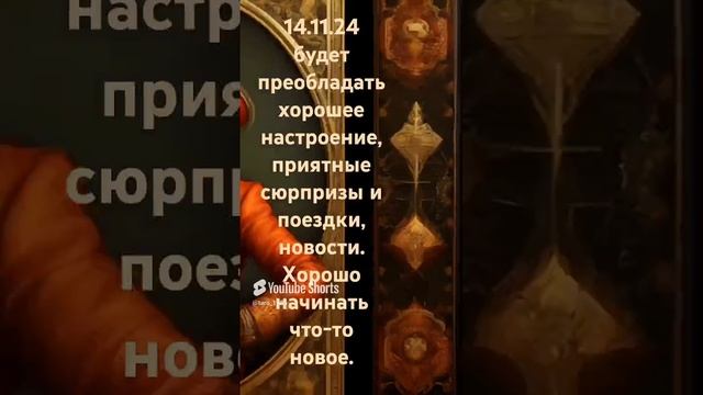 КАРТА ДНЯ 14.11.24