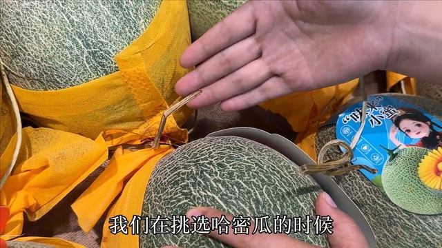 原來哈密瓜甜不甜，瞧一眼這個位置就知道，果農教我的方法超管用，一挑一個准，Surprising Cantaloupe Taste Reveal，Farmer's Trick Unveiled tip