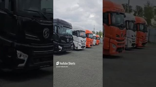 шахманы
