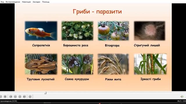 Биология(27.10.2020)