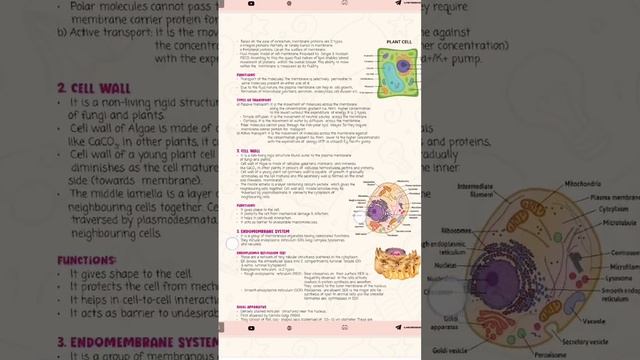 #sankalpbharat #celltheunitoflife #biologyshortsvideo #neet2024 #class12bio  #neet2025