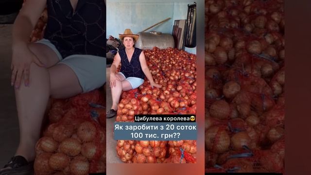 ЗАРОБИЛА НА ЦИБУЛІ 100 ТИСЯЧ ГРН!!🎉🎉🎉 (архів)