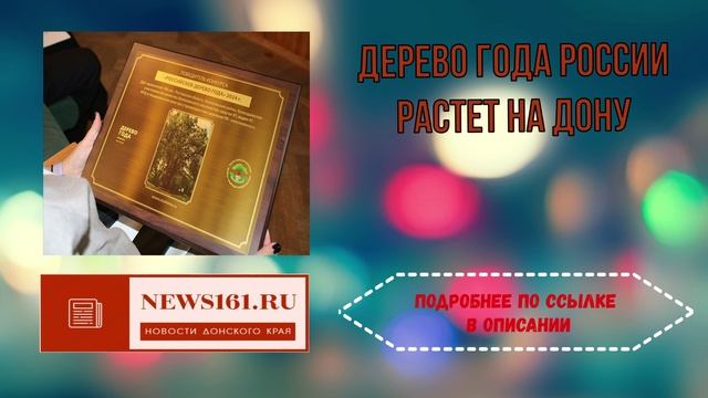 Дерево года России растет на Дону