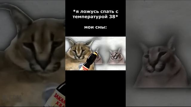 Те самые сны в +38