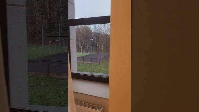 Серебро на Пионерской