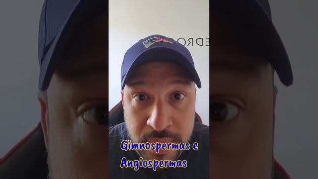 Fanerógamas - Gimnospermas e Angiospermas - Biologia com o Tubarão em Segundos!