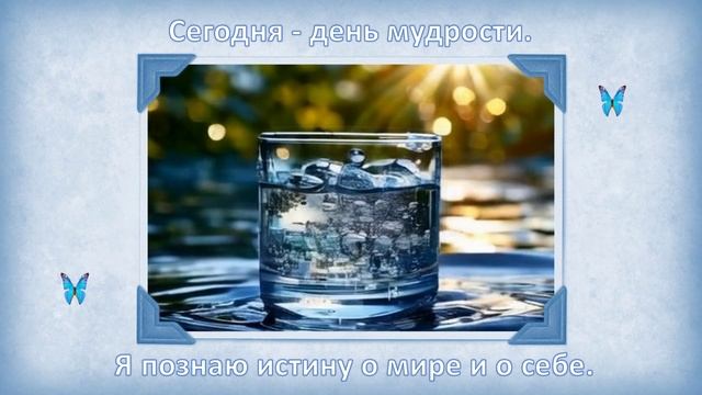 День мудрости