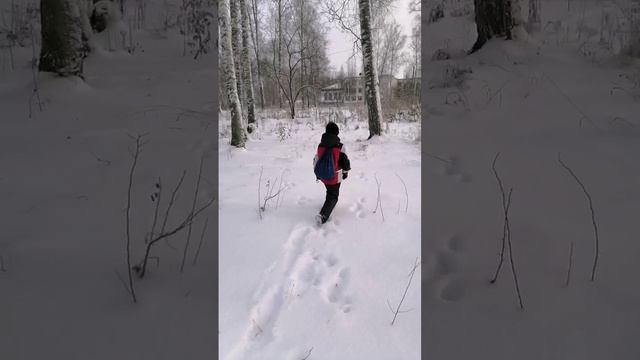 Мальчик и школа