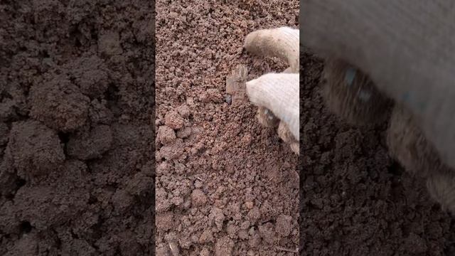 КРЕСТ НА ПОЛЕ ФЕОФАНА