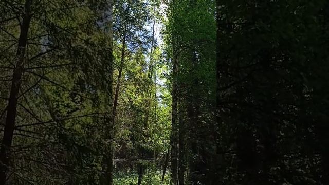Природа Пермского края🤗🐾🌿🌳
