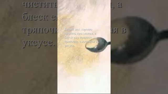 Чистим белый мех