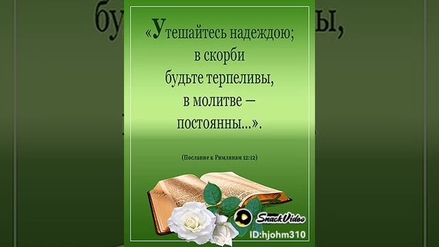 20241113_174935304.jpg_play.mp4_logo_RU.mp4
