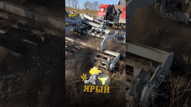 Лущильник I ЯРЫЙ I Радогост-Маш #агро #сельскоехозяйство #лущильник #ярый #радогостмаш #2024