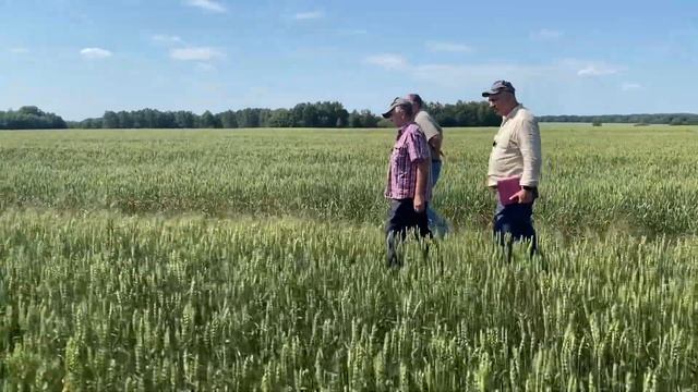 24.07 Приехали на опыт в ООО «Филлиповское», Ордынка