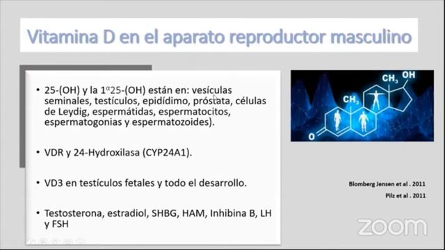 Importancia de la Vitamina D en la Fertilidad