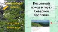 Поход по горам Северной Каролины. Встреча с медведем