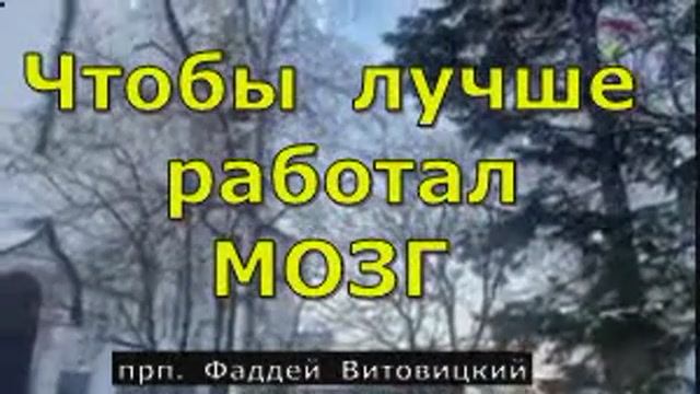 Чтобы  лучше  работал  МОЗГ