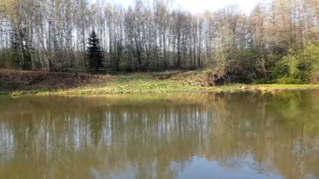 А за окошком месяц май..-